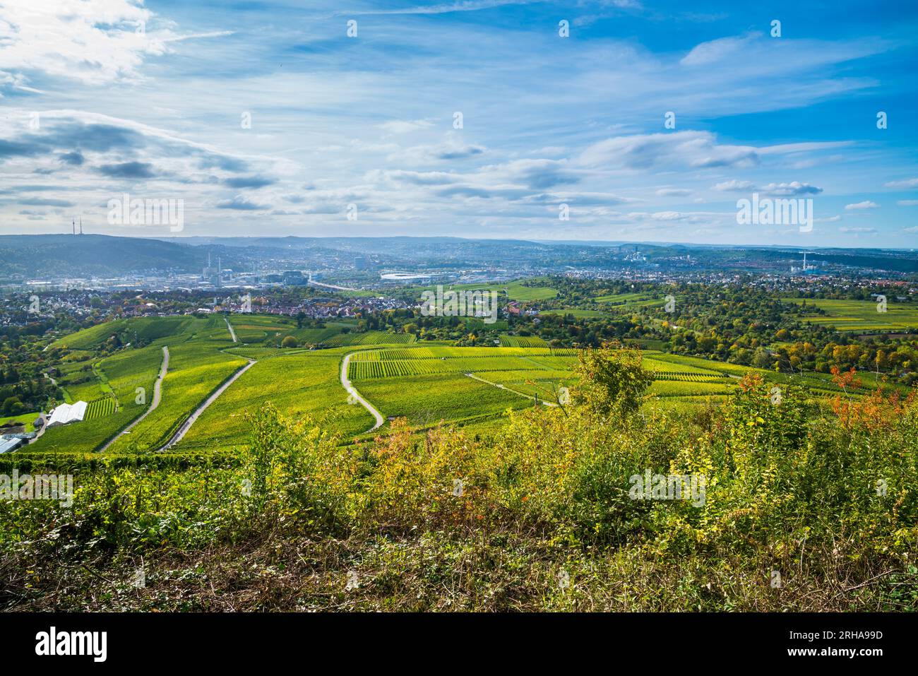 Germany, Stuttgart city skyline vineyard panorama view autumn nature ...