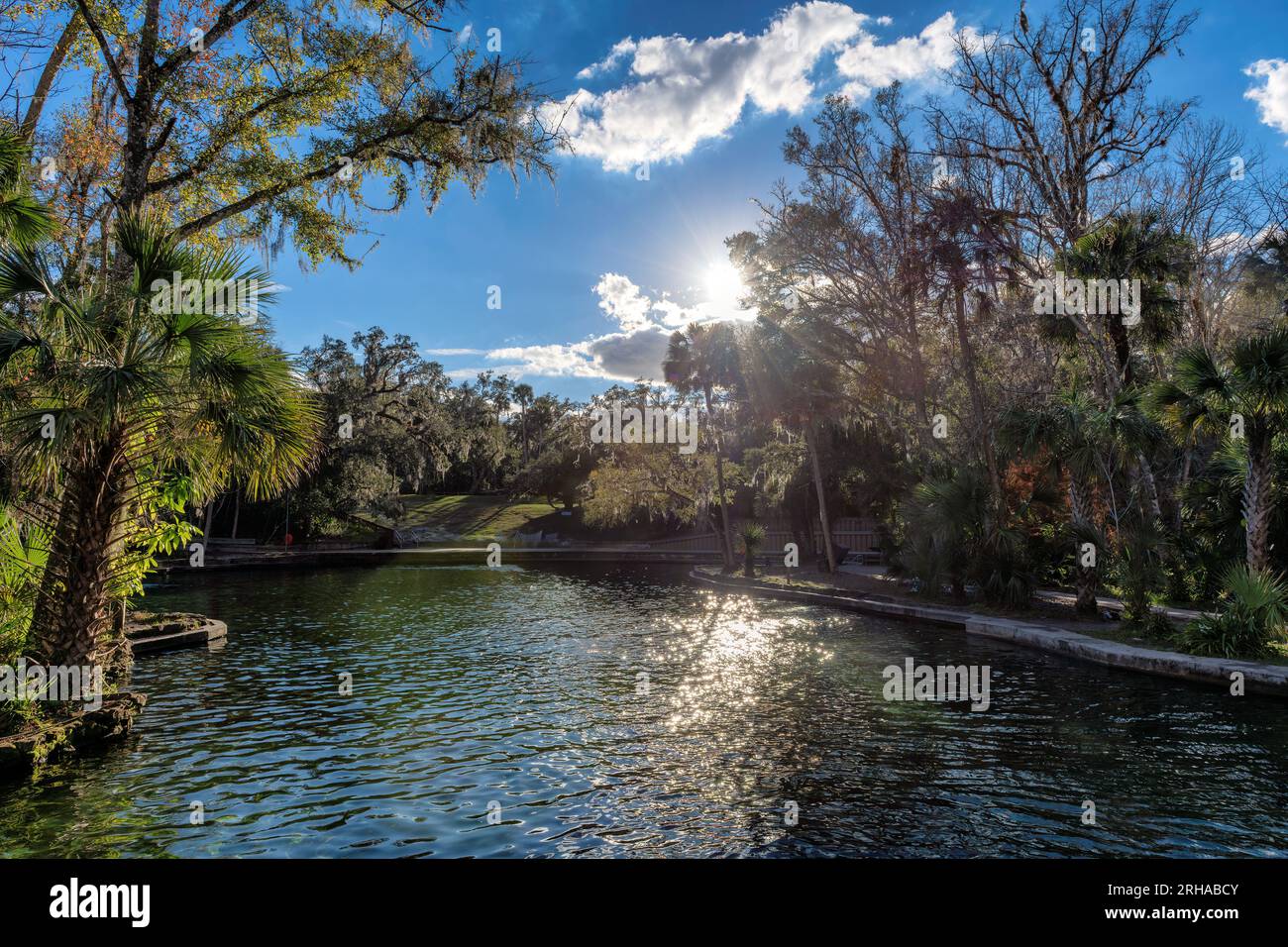 Beautiful Wekiwa Springs State Park, lake and tropical forest at sunset in Orlando, Florida. Stock Photo