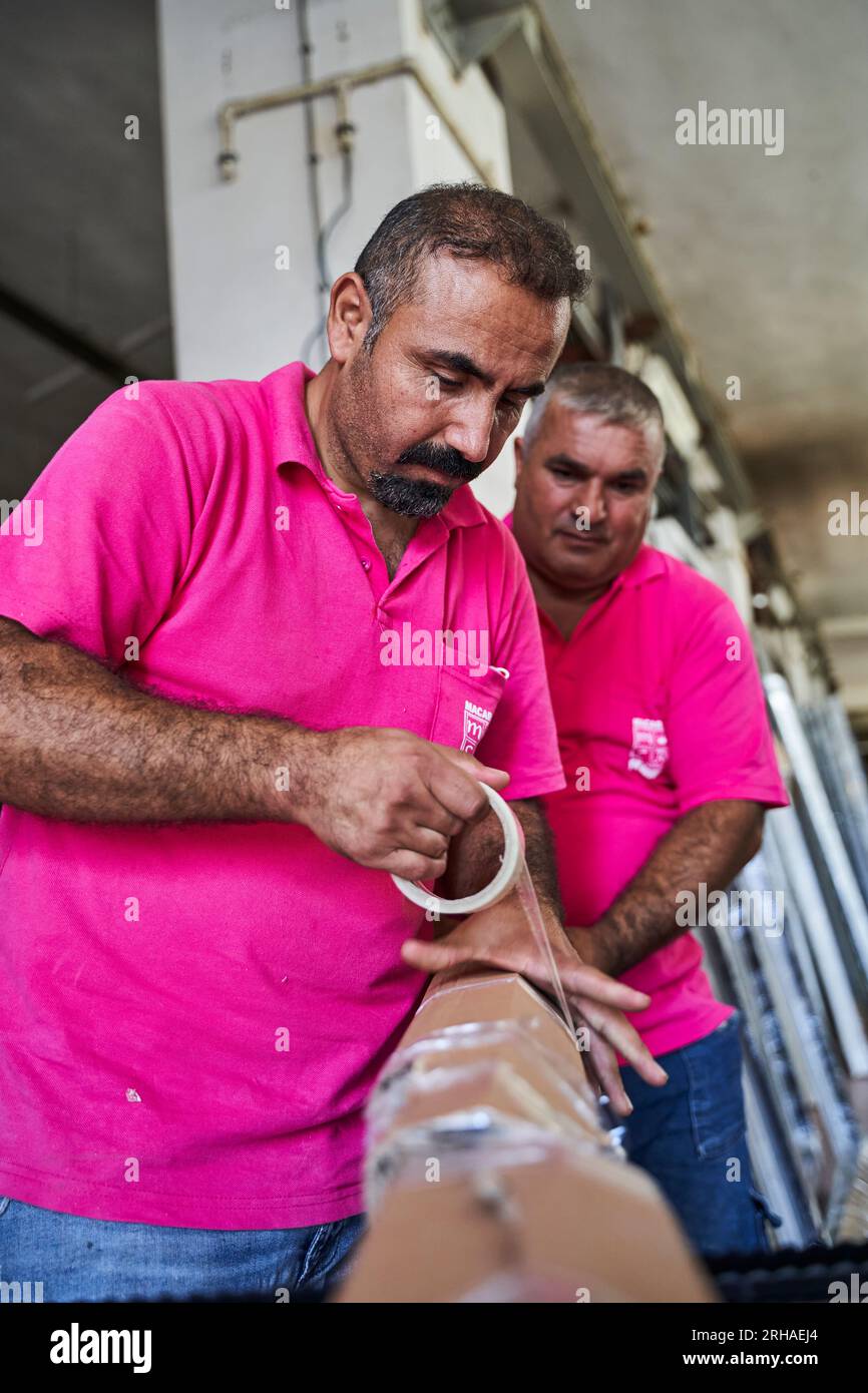 Workers packing cardboard box in warehouse for shipment. an operator ...