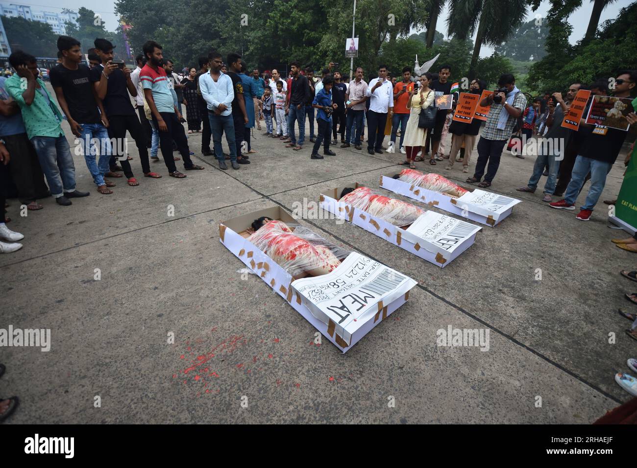 August 15, 2023, Kolkata, India. Animal lover activists hold a protest demonstration with symbolic human flesh in trays, a poignant visual representation of animals subjected to horrors of factory farming and posters against animal exploitation on the 76th Indian Independence Day before Victoria Memorial Hall, on August 15, 2023, in Kolkata City, India. (Credit Image: © Biswarup Ganguly/eyepix via ZUMA Press Wire) EDITORIAL USAGE ONLY! Not for Commercial USAGE! Stock Photo