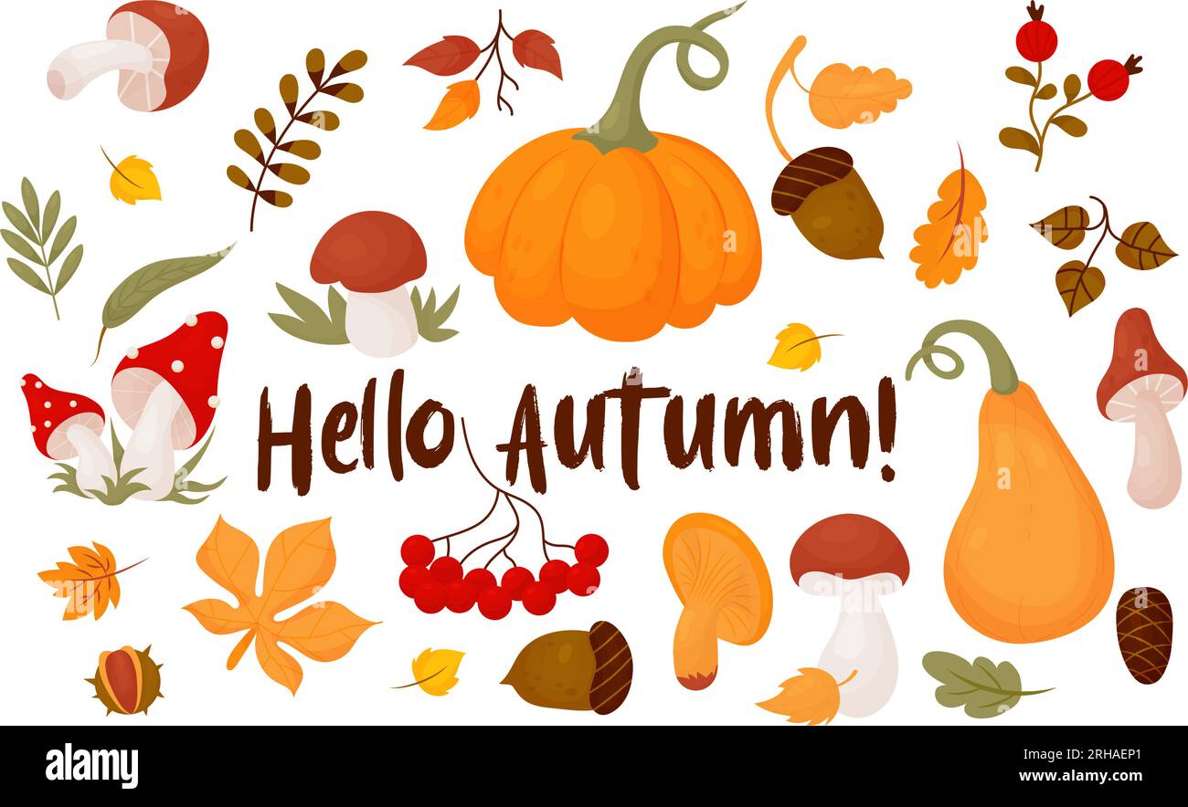Hello, Autumn. Collection leaves, forest mushrooms, berries, cone