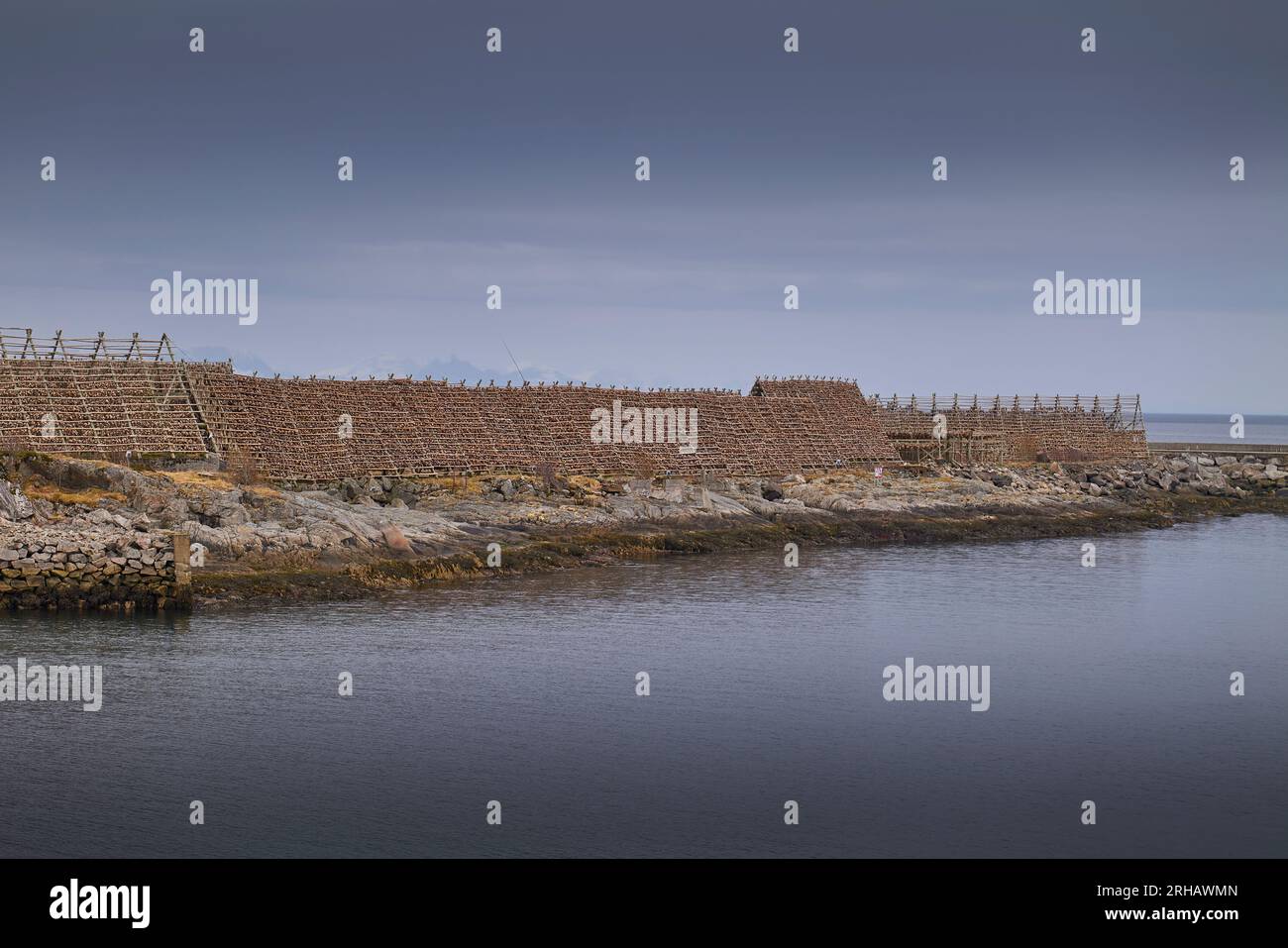 Fish Flakes (Hjell) Covered With Dried Cod, Dominate The Harbour Wall