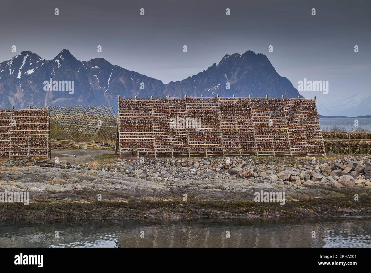 Fish Flakes (Hjell) Covered With Dried Cod, Dominate The Harbour Wall