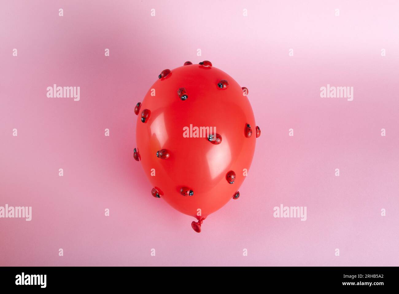 an invasion of numerous ladybugs on a red inflatable balloon with a ...