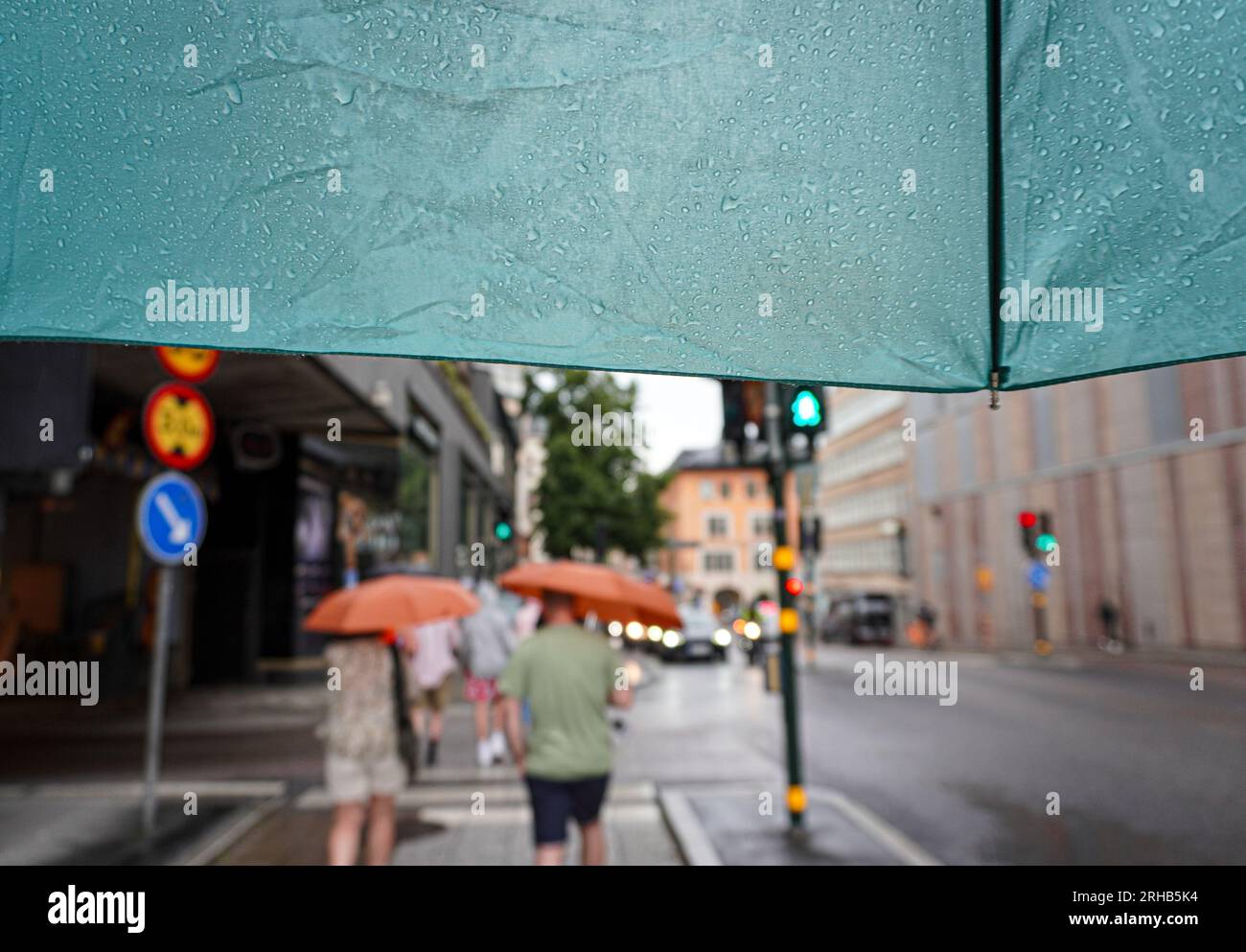 Rear view of people with umbrella walking on wet street during rainy ...