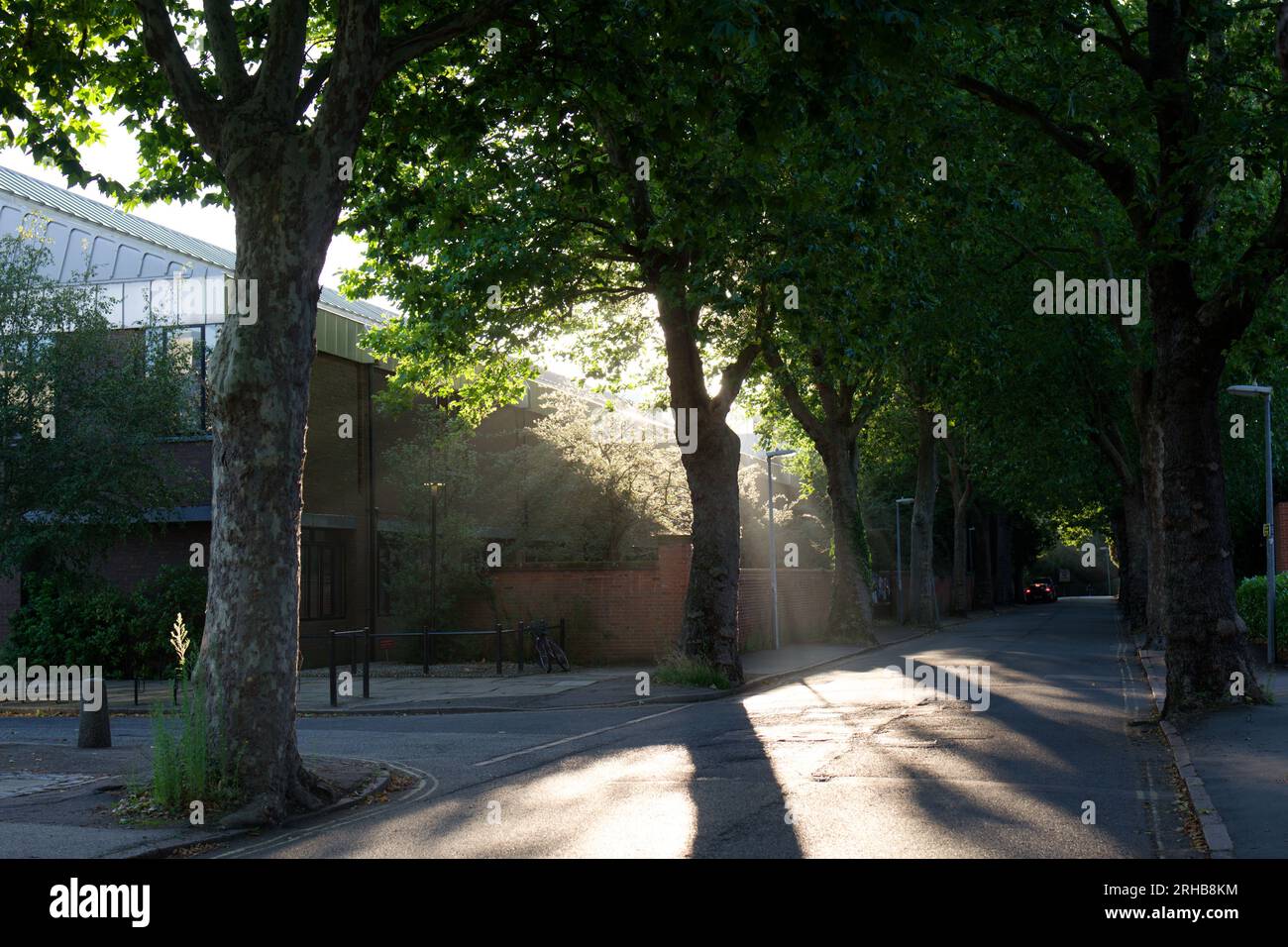 Cambridge Street Photography Stock Photo Alamy
