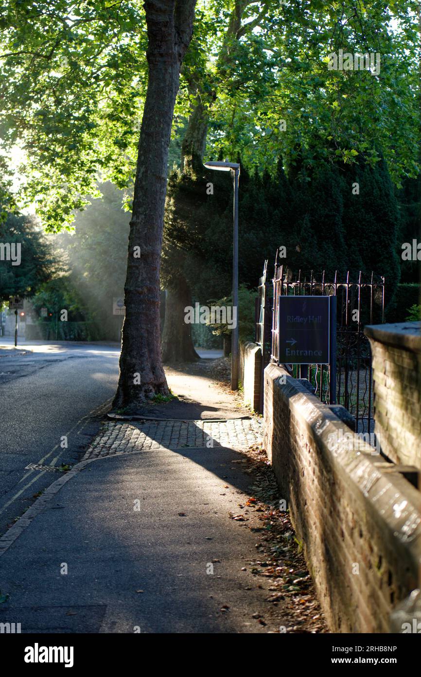Cambridge Street Photography Stock Photo Alamy