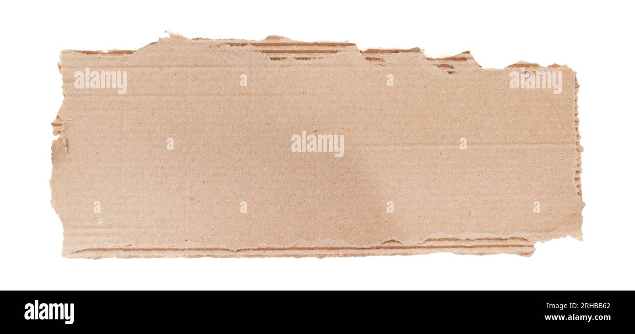 Isolate Paper A piece of textured packaging cardboard. Piece of torn cardboard with ...