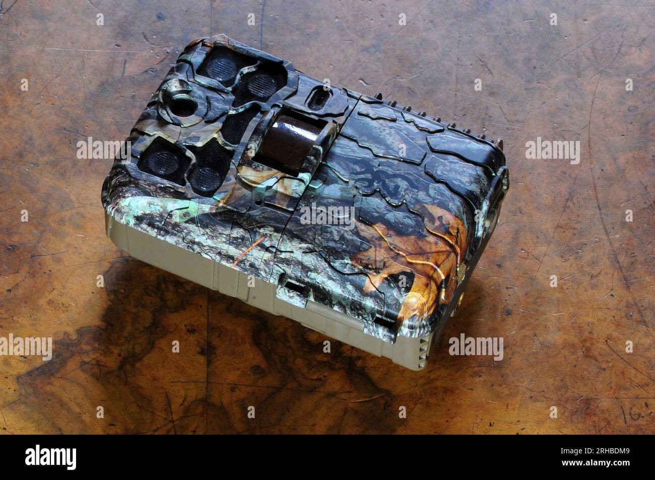 Browning trail wildlife camera in camouflage colours Stock Photo