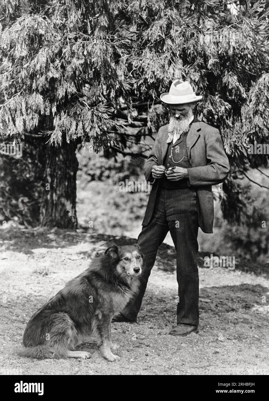 California:  c. 1900 A photograph of author and naturalist John Muir and his dog. Stock Photo