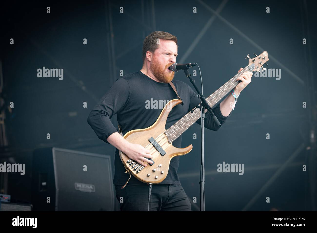 Ambrius hi-res stock photography and images - Alamy