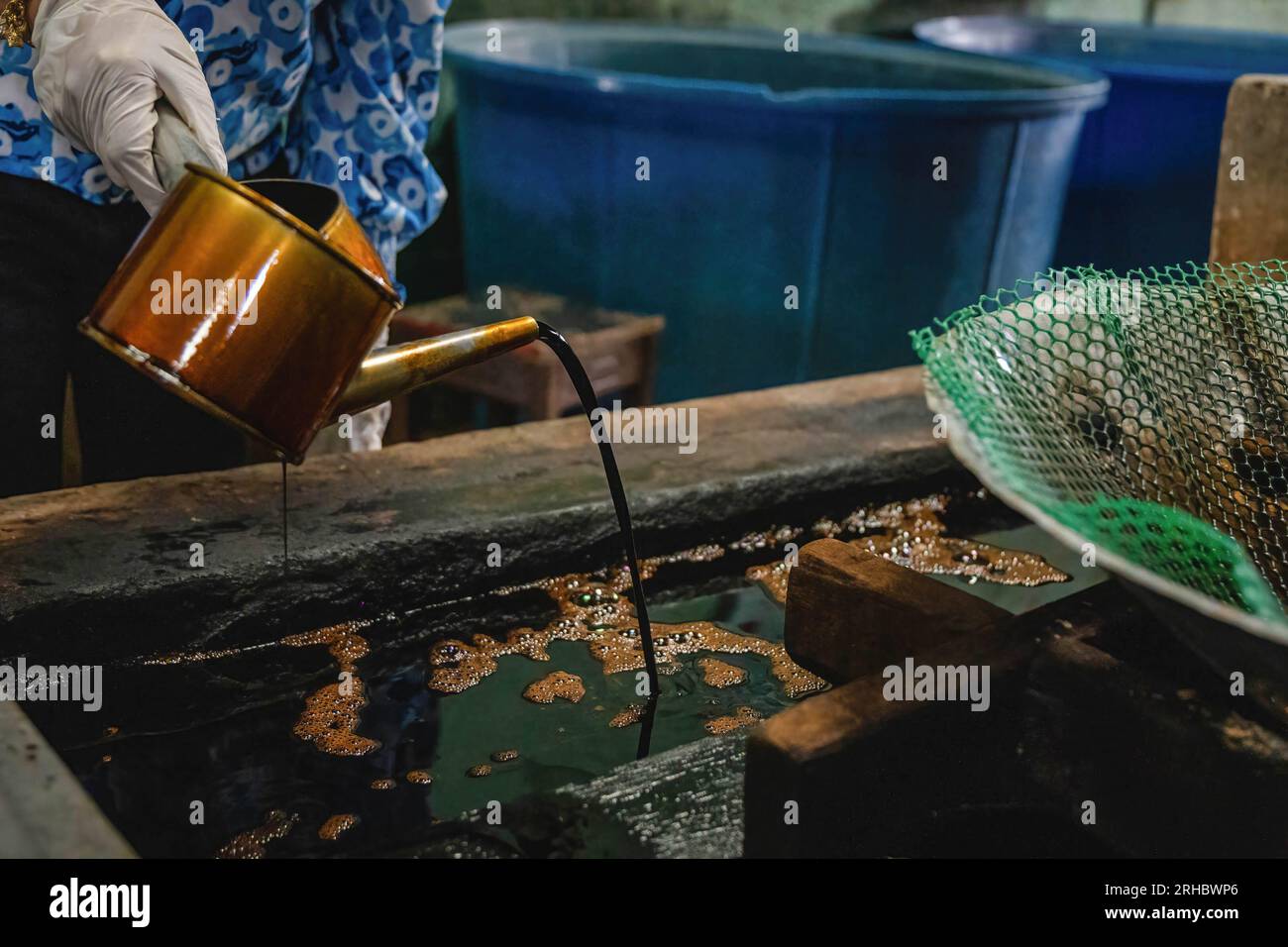 aspergillus oryzae sul palmare