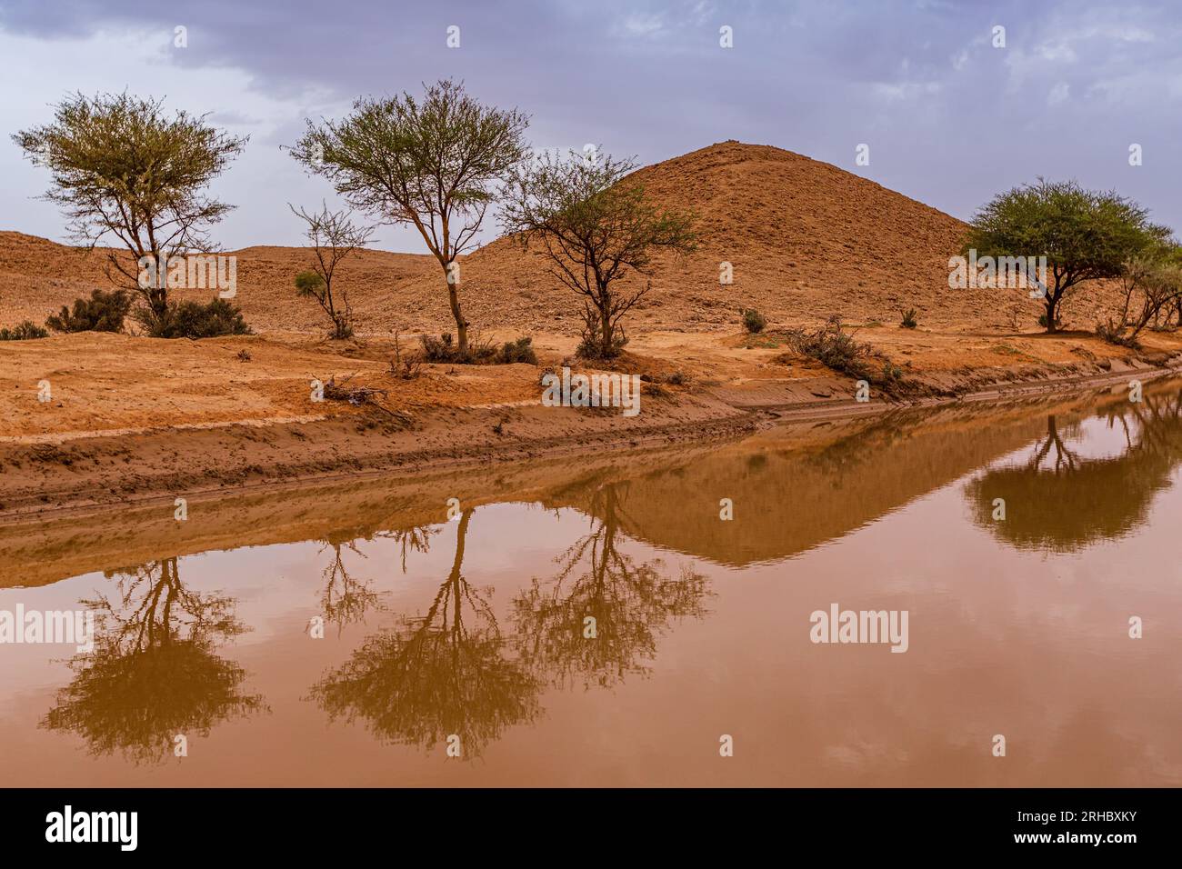 Flooded desert landscape, Saudi Arabia Stock Photo