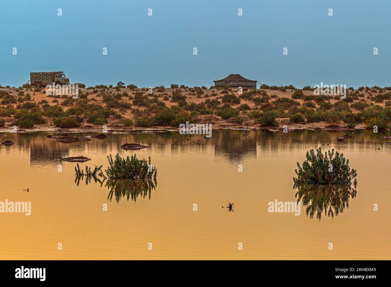 Tent and truck parked in a flooded desert landscape after rains, Saudi Arabia Stock Photo