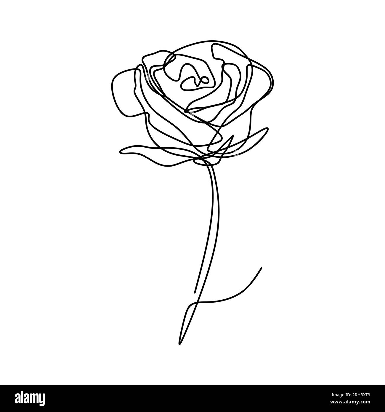 Continuous line drawing of rose flower vector Stock Vector Image & Art