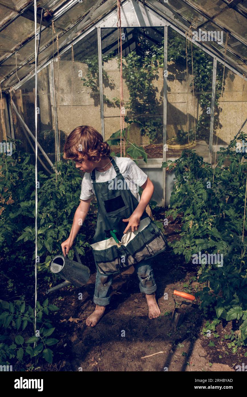 Full length of blond haired barefoot kid in gardening apron watering green growing plants with can while working in greenhouse Stock Photo