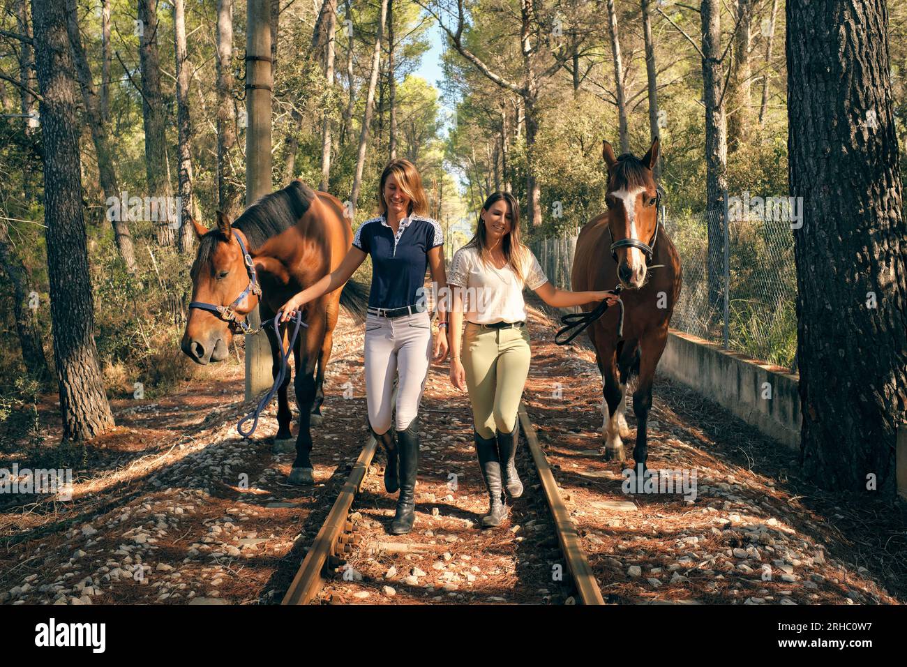 Delighted female equestrians holding reins and leading chestnut horses along railroad in woods and looking at camera Stock Photo