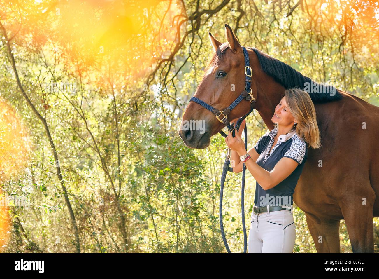 Content female equestrian adjusting reins on chestnut horse while standing in forest on sunny day in summer Stock Photo