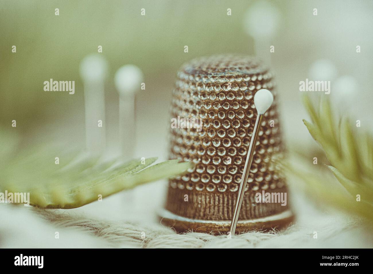 Macro of a norwegian knitting thimble Stock Photo - Alamy