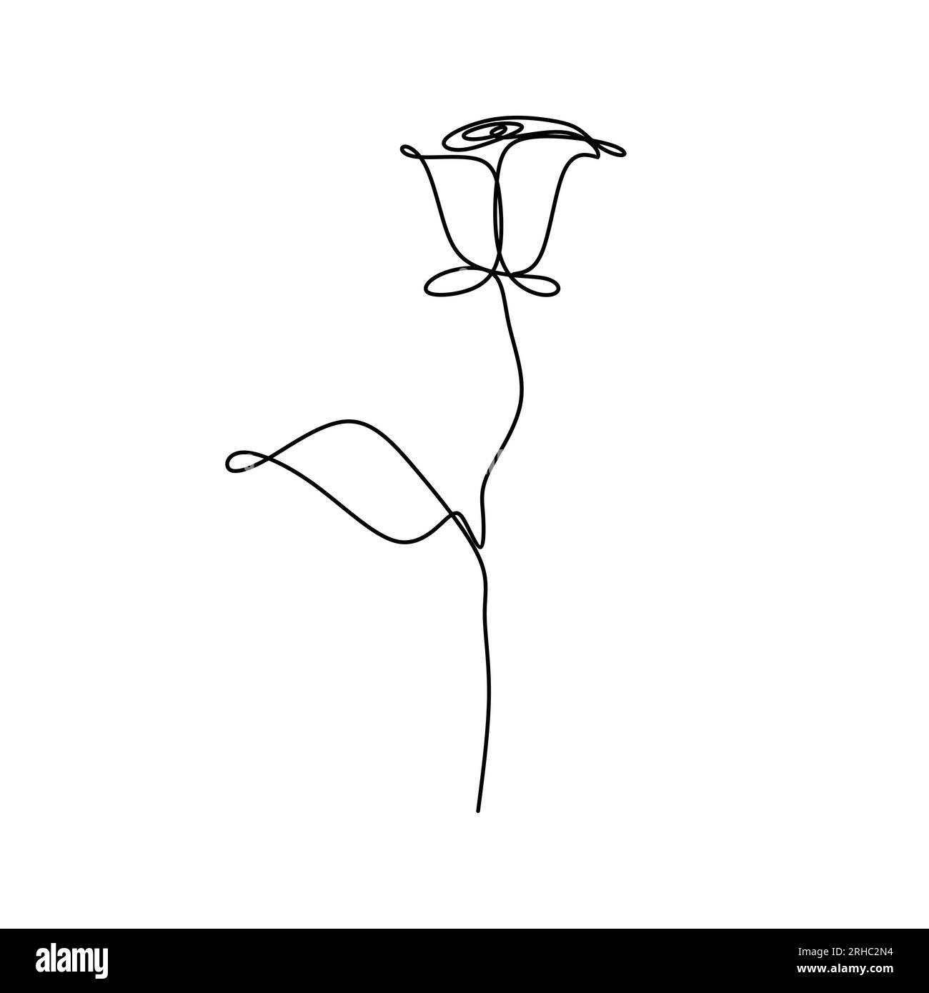 Continuous line drawing of rose petal vector illustration minimalist ...
