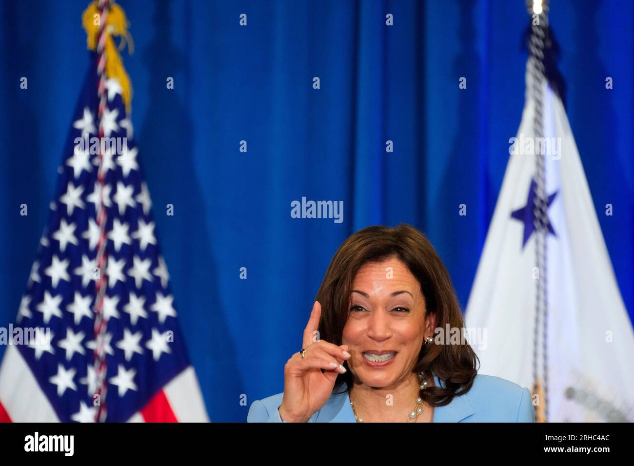 Vice President Kamala Harris gives remarks ahead of the one-year ...