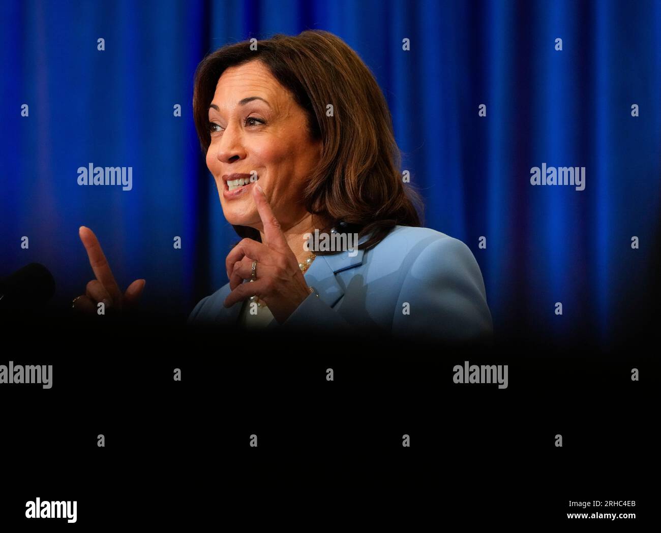 Vice President Kamala Harris gives remarks ahead of the one-year ...