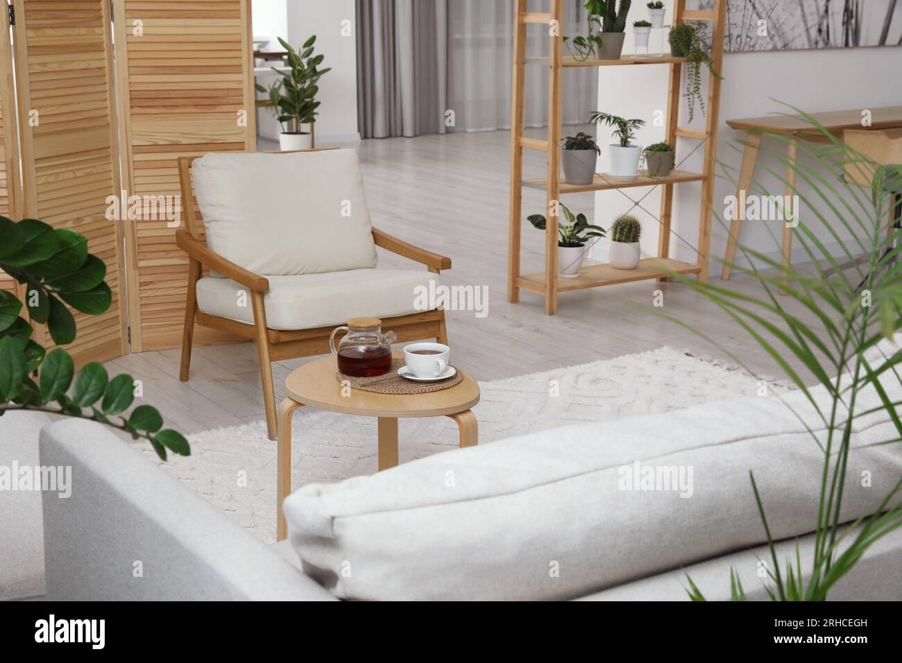Stylish room with different potted green plants and modern furniture ...