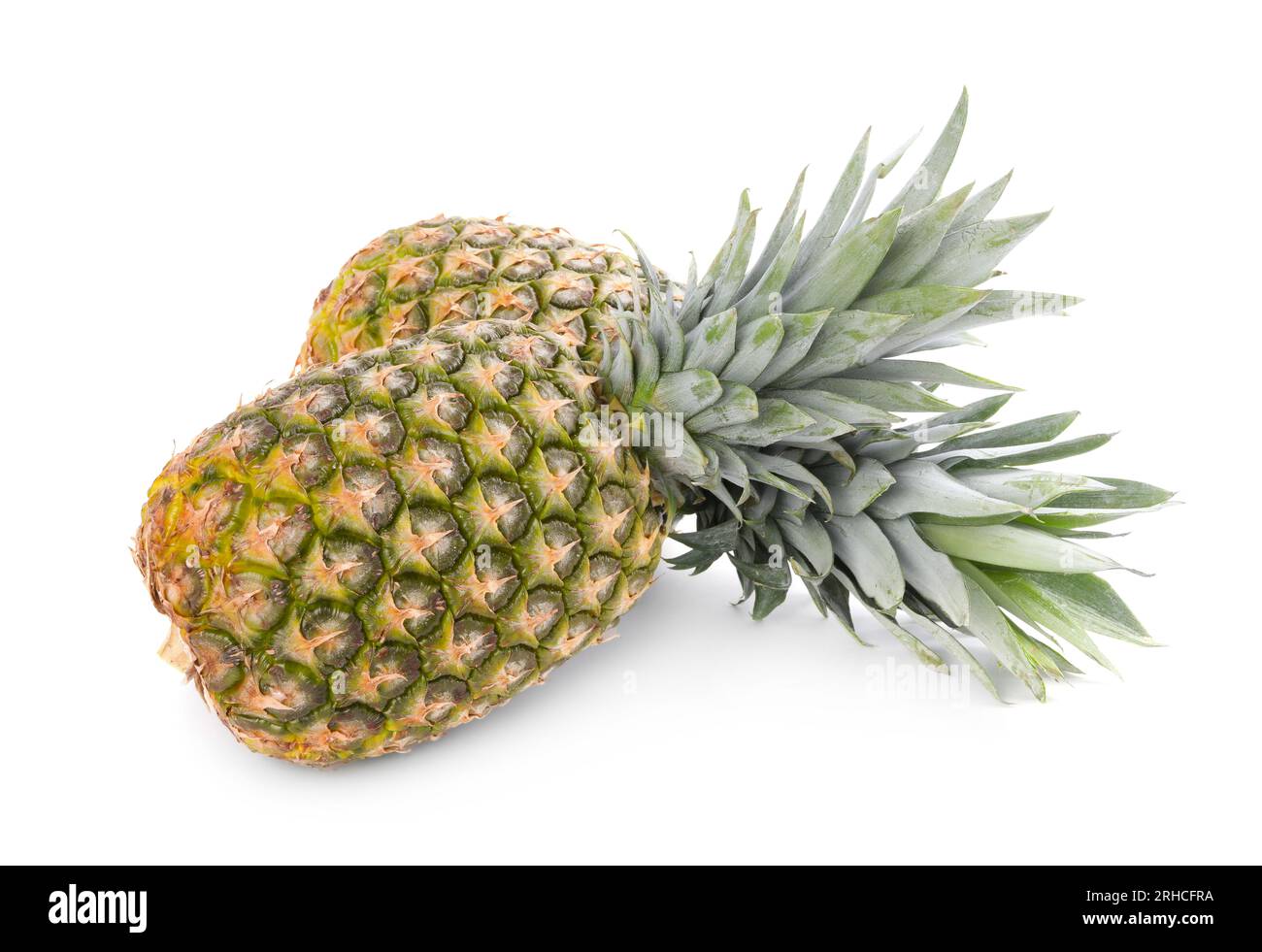 Two delicious ripe pineapples isolated on white Stock Photo