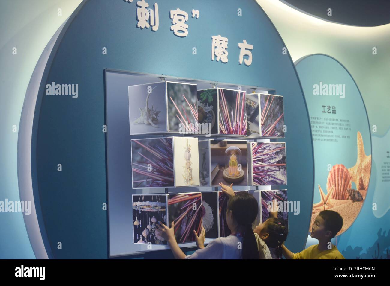 HANGZHOU CHINA AUGUST 16 2023 Visitors learn about the life habits of Marine benthic animals through a Rubik s cube interactive game at the Zhej Stock Photo Alamy