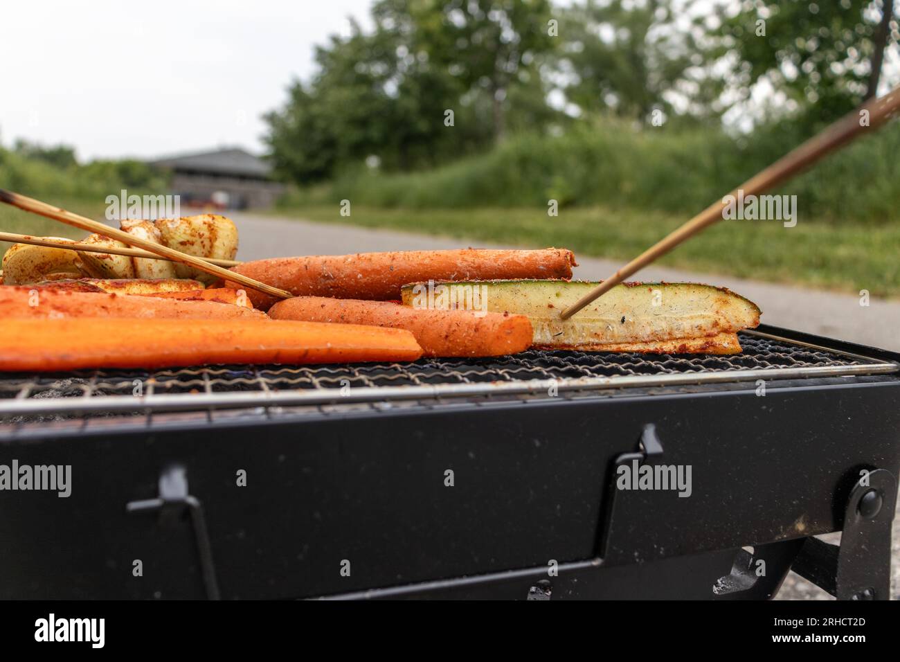 Grill with vegetable skewers seasoned carrots, zucchini, and onions