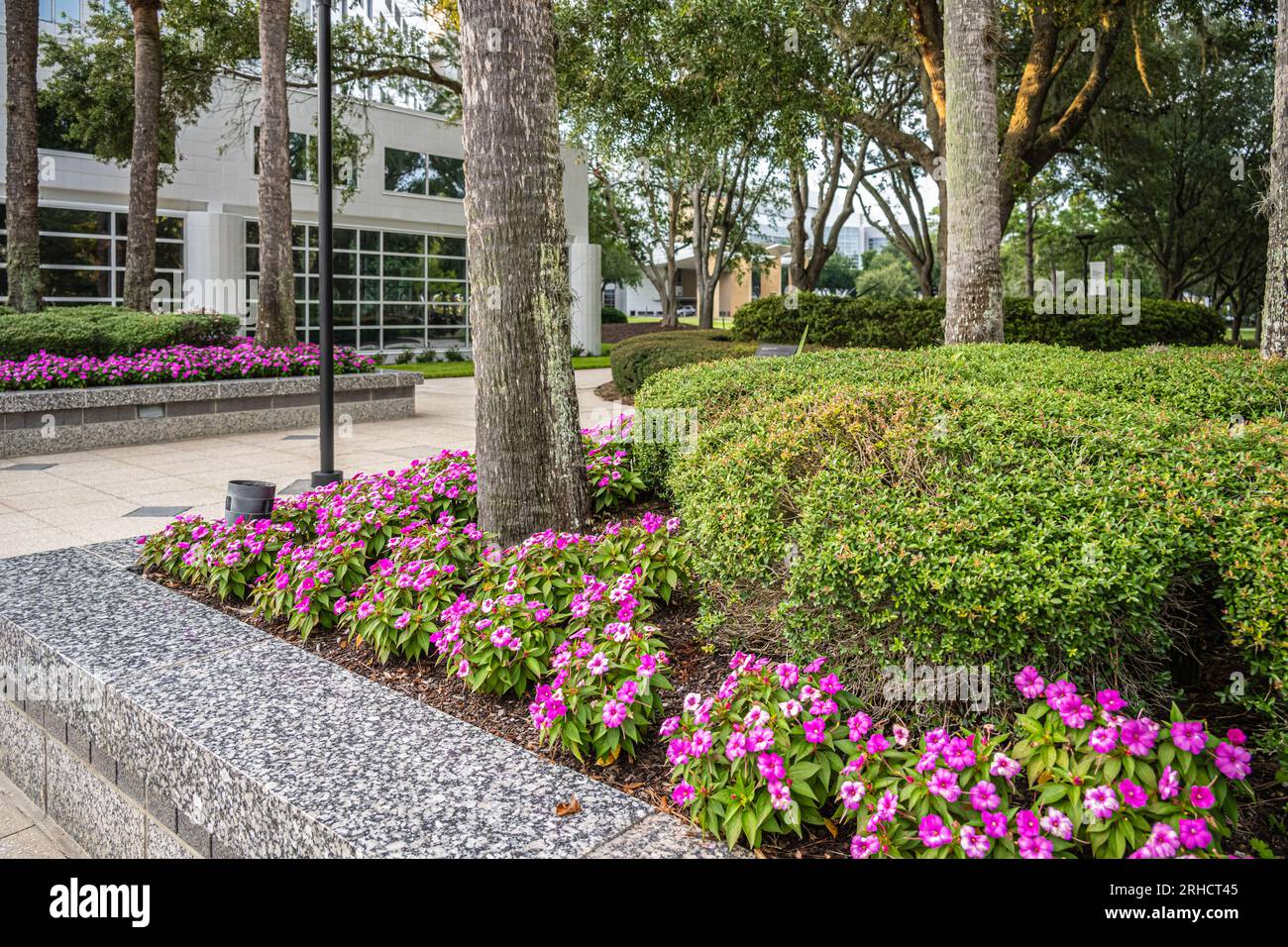 Plaza adjoining the Davis Building on the Mayo Clinic campus in Jacksonville, Florida. (USA) Stock Photo