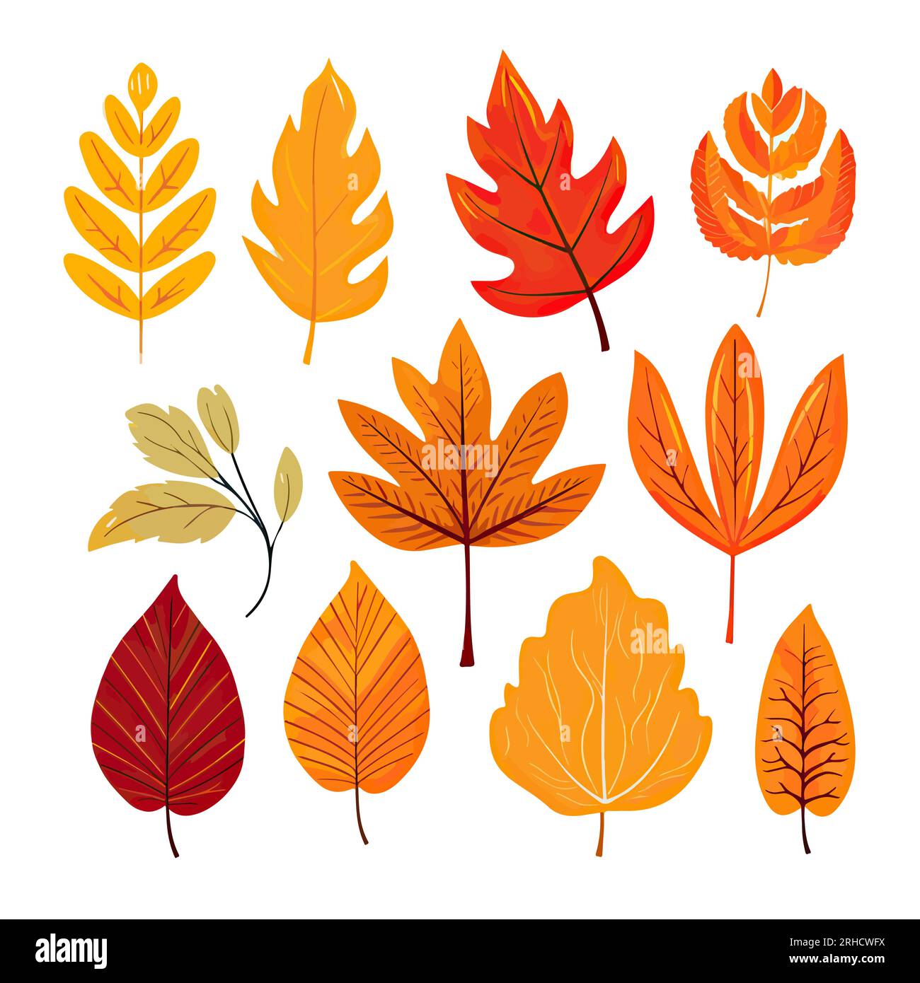 set autumn leaves isolated on white background Stock Vector Image & Art ...