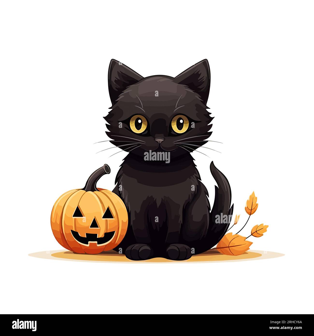 Halloween black cat with pumpkin on white background Stock Vector Image