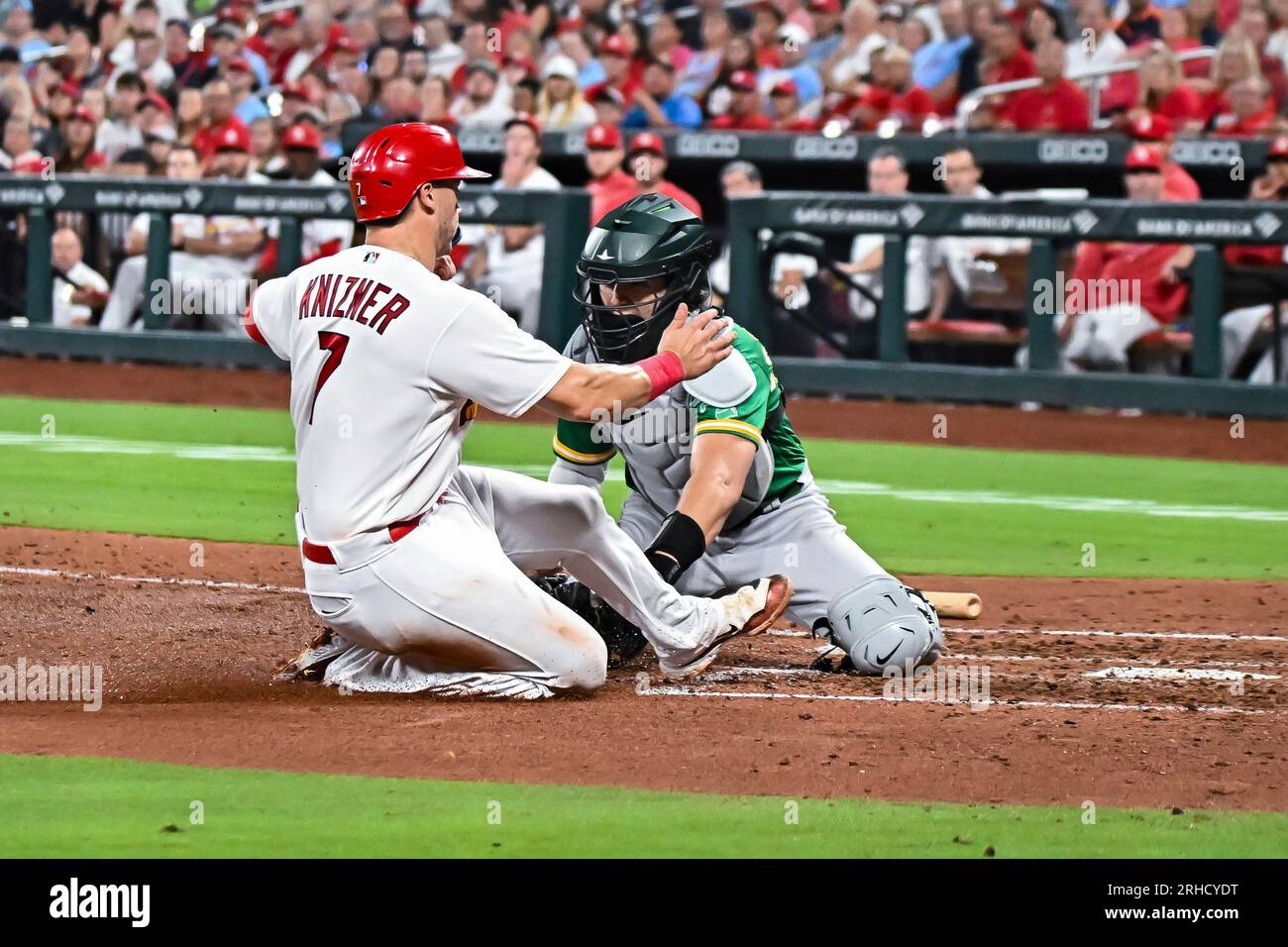 ST. LOUIS, MO - Aug 15: St. Louis Cardinals catcher Andrew Knizner (7 ...