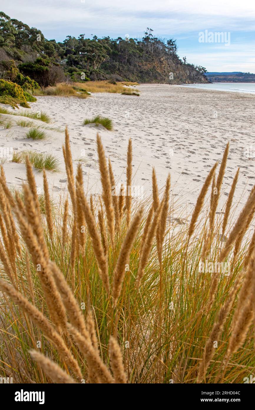 Spring Beach, Tasmania Stock Photo