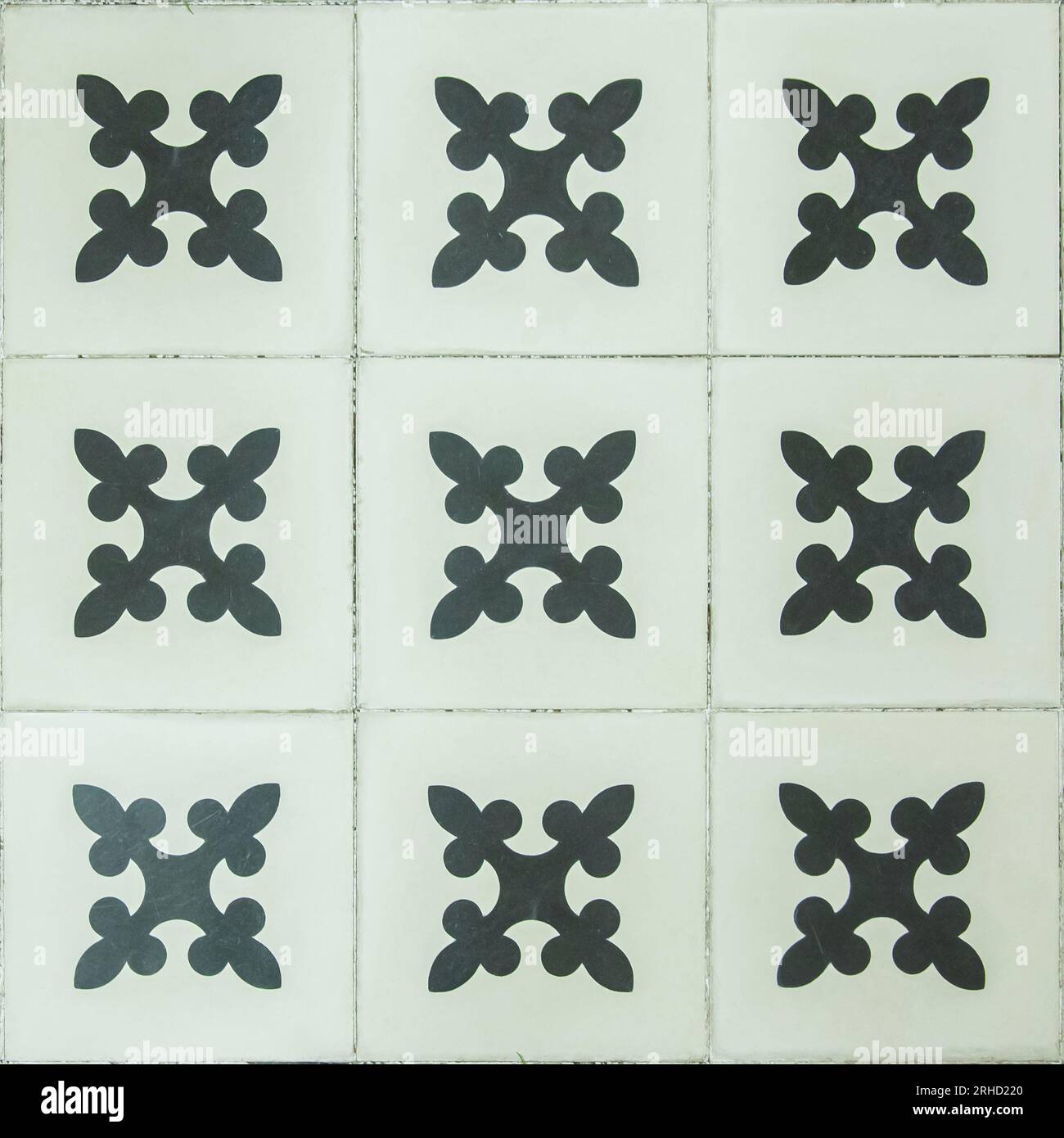 Photograph of traditional floral vintage floor tiles in white and black