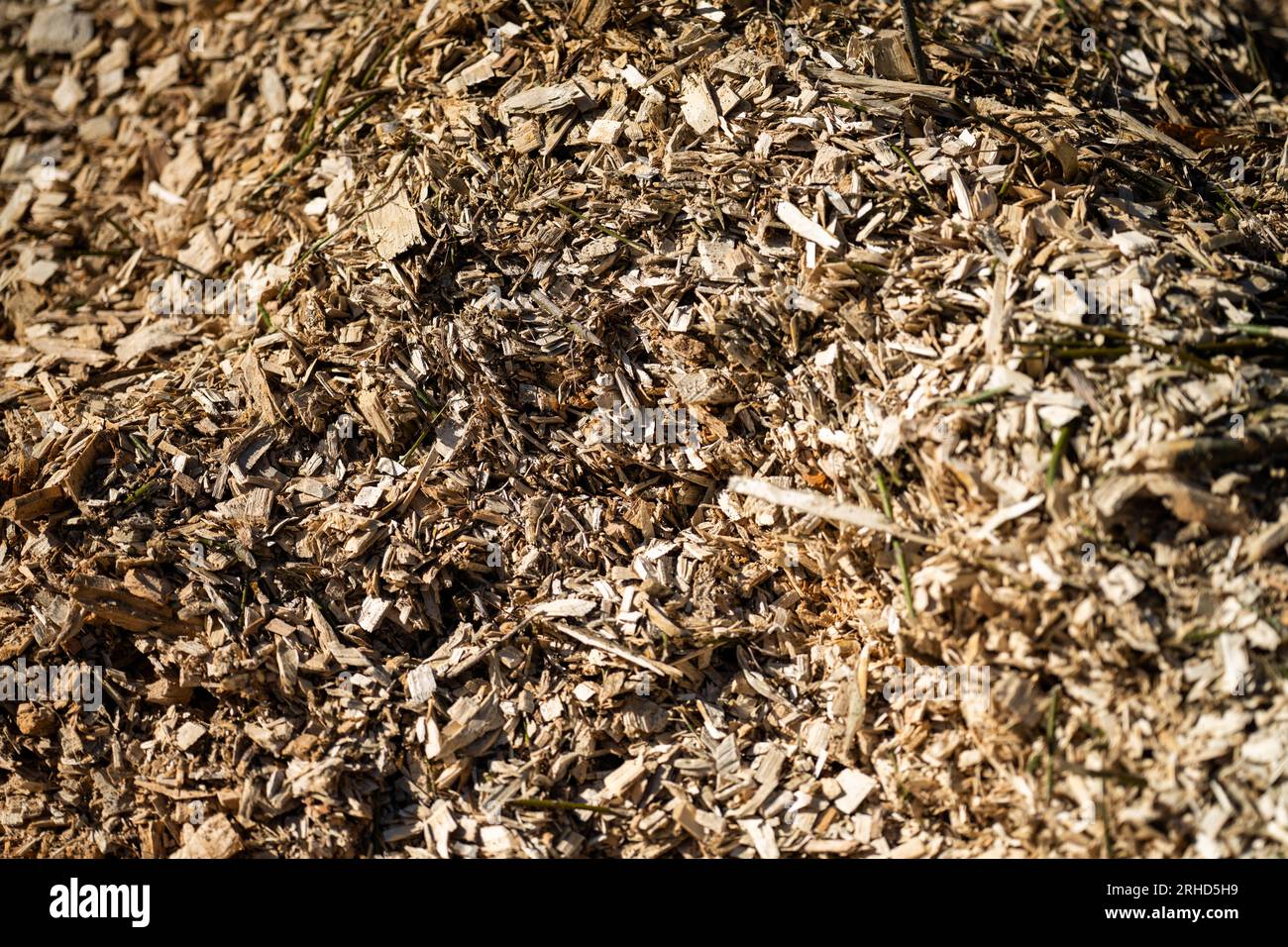 pile of wood chips in china for export Stock Photo Alamy