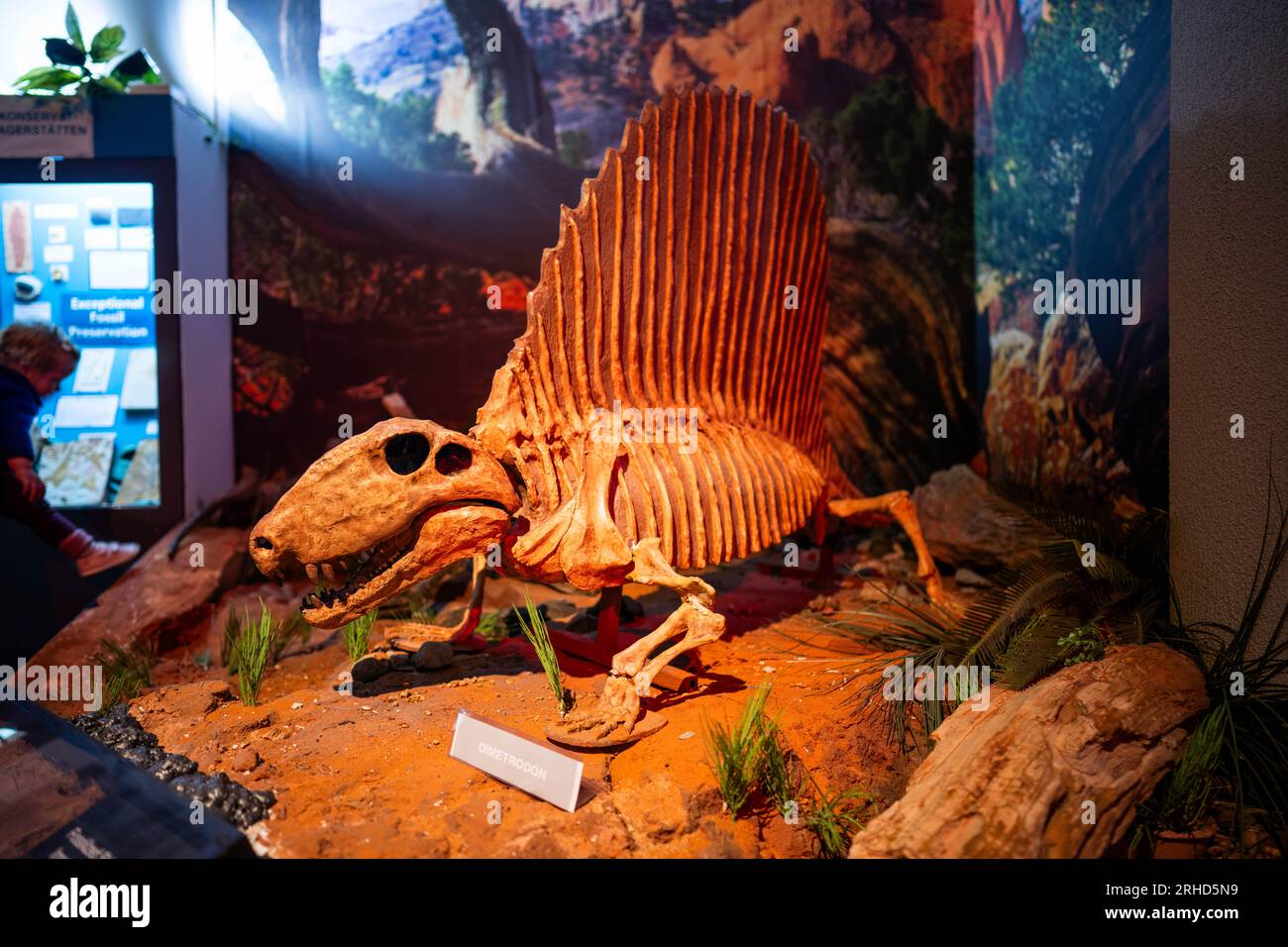 giant plastic dinosaurs status in a park Stock Photo Alamy
