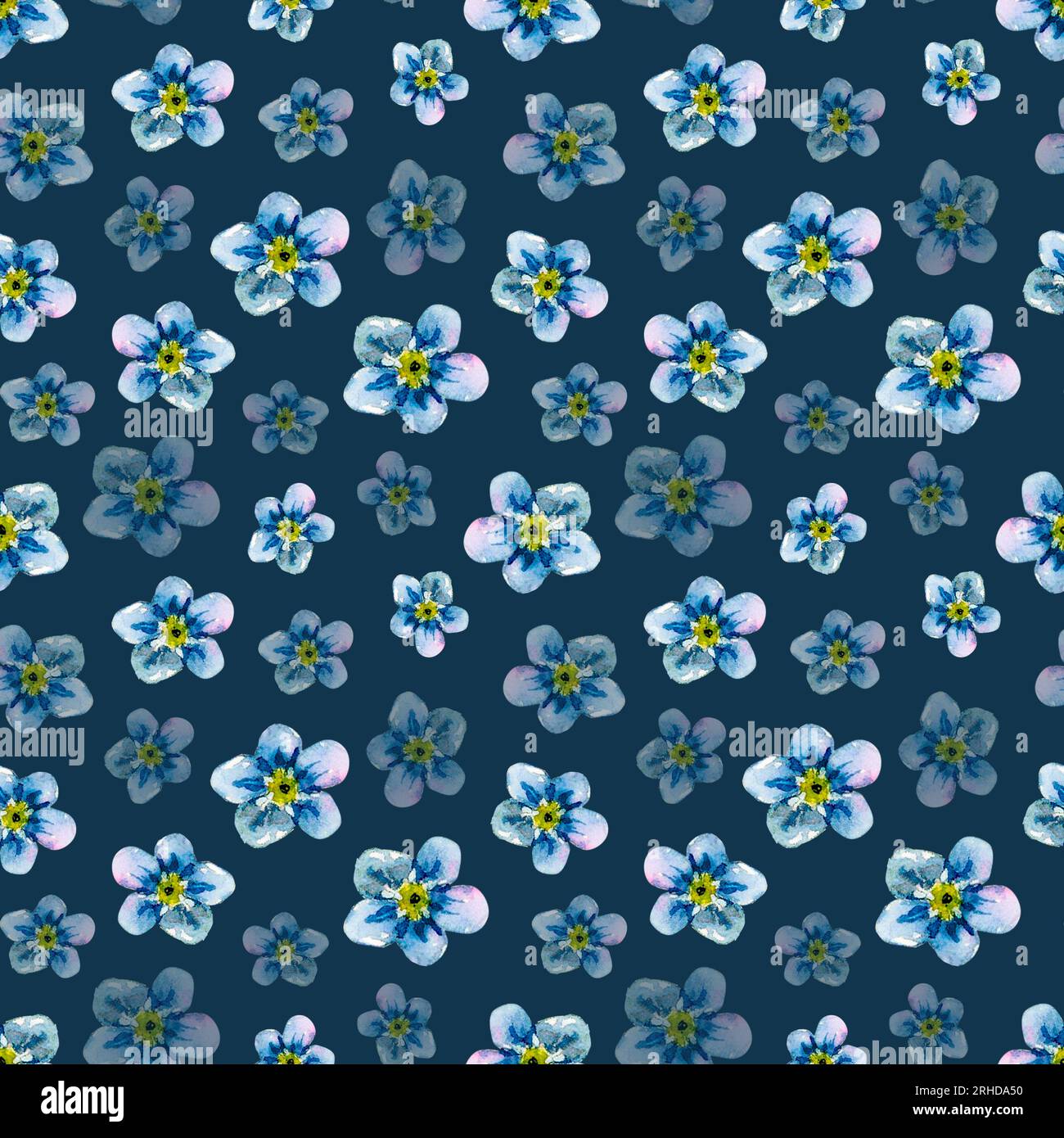 Sizing - Forget-me-not Patterns