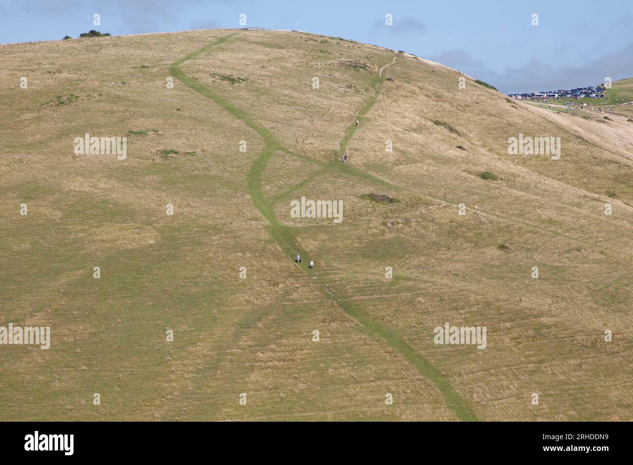 Pathways on a hill, near Lulworth, Dorset Stock Photo