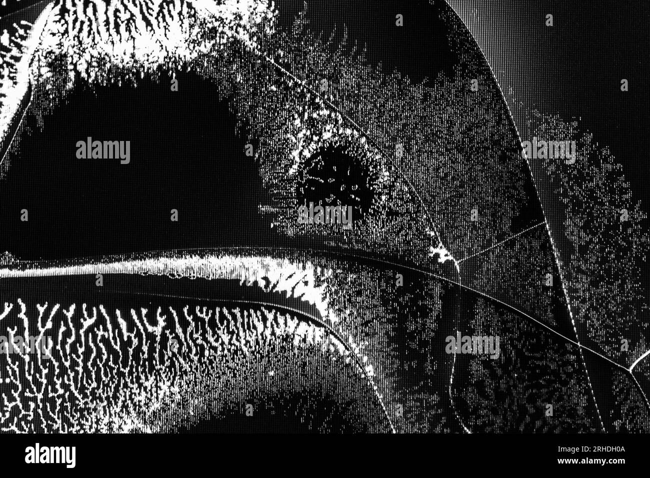 texture background cracks on the broken screen of a liquid crystal display, computer monitor or TV black and white photo Stock Photo