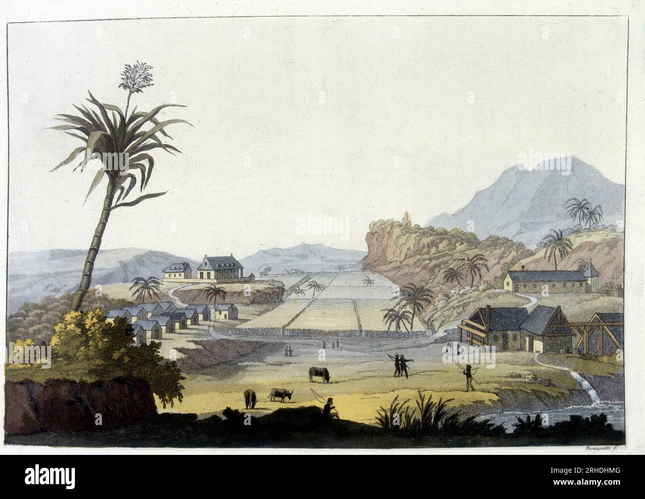 Champs de canne a sucre aux Antilles - in 'Le costume ancien et moderne' par Ferrario, 1819-1820 Stock Photo