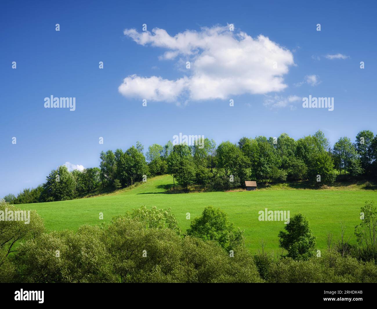 Green meadow trees hi-res stock photography and images - Alamy