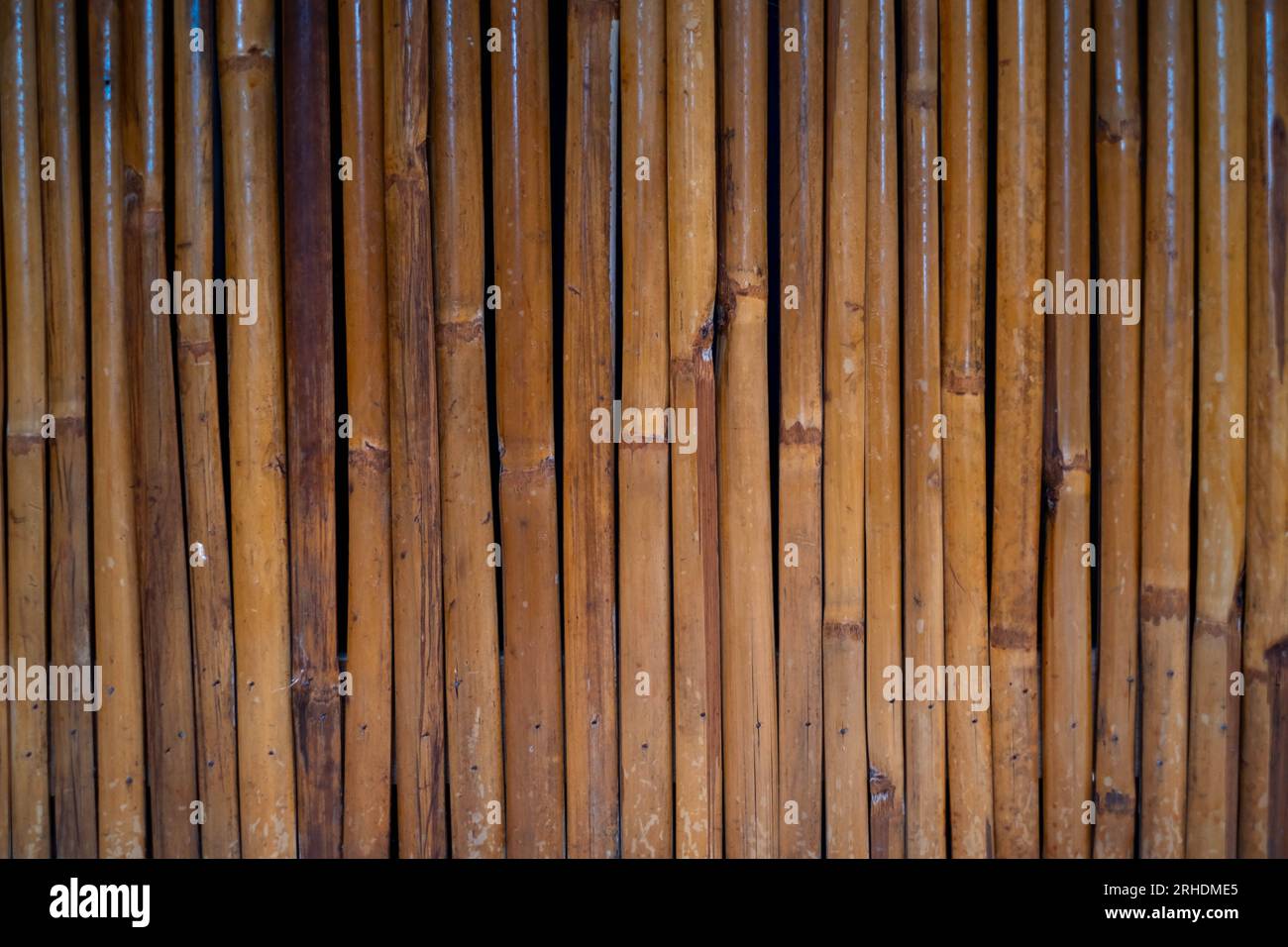 Brown bamboo wood wall pattern from nature, grunge tropical stick old decor texture asia japanese traditional, bunch bundle organic material growth ze Stock Photo