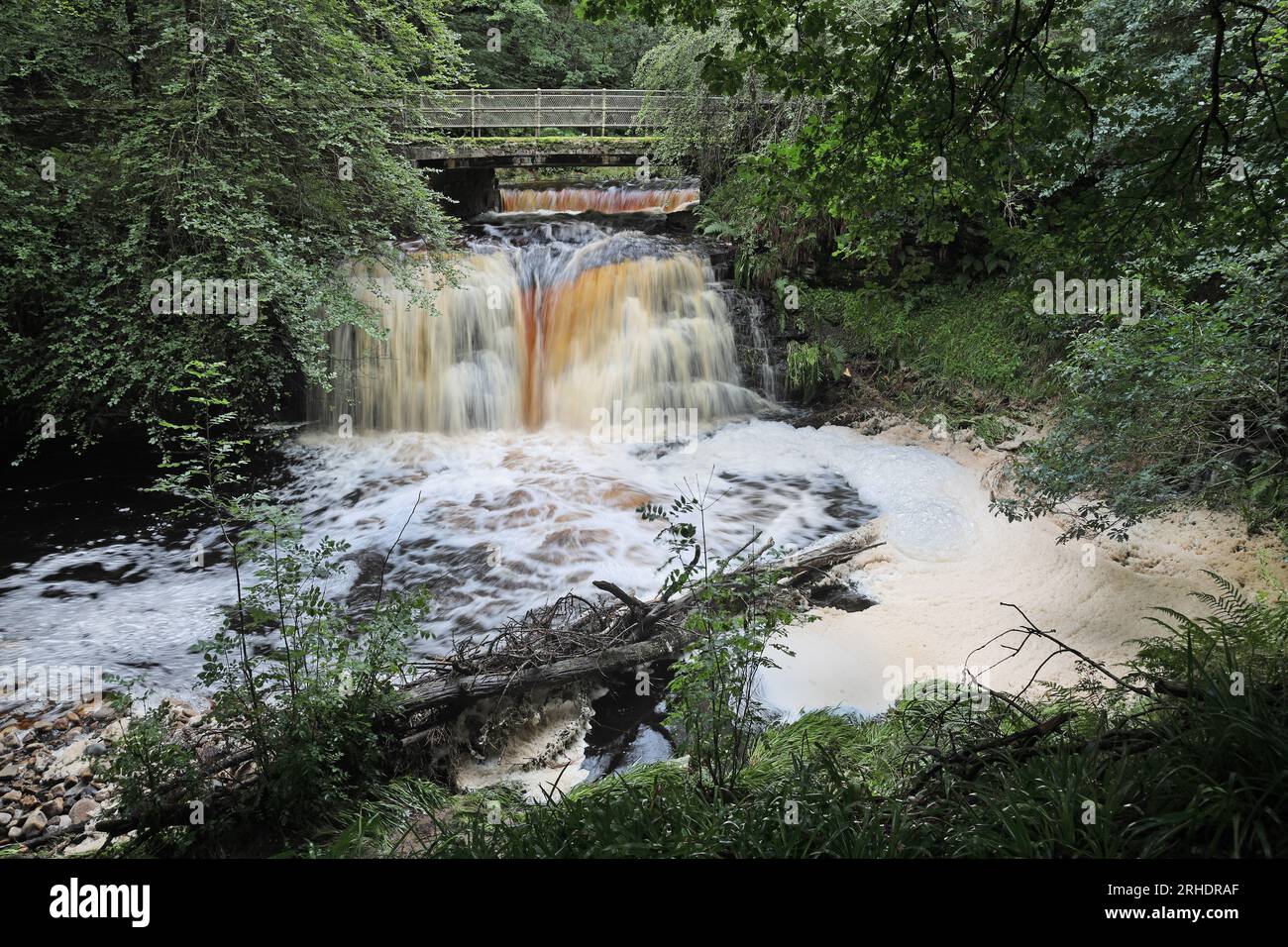 Polluted river water dirty foam hi-res stock photography and images - Alamy