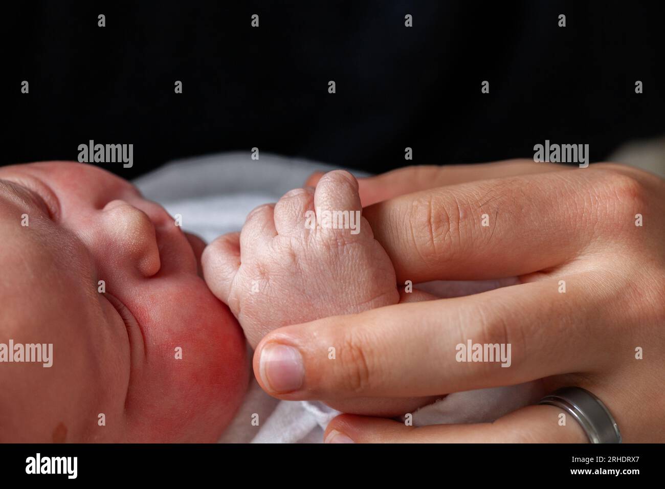 Close up of newborn Australian baby with hand fingers wrapped around fathers finger in hospital hours after birth Stock Photo