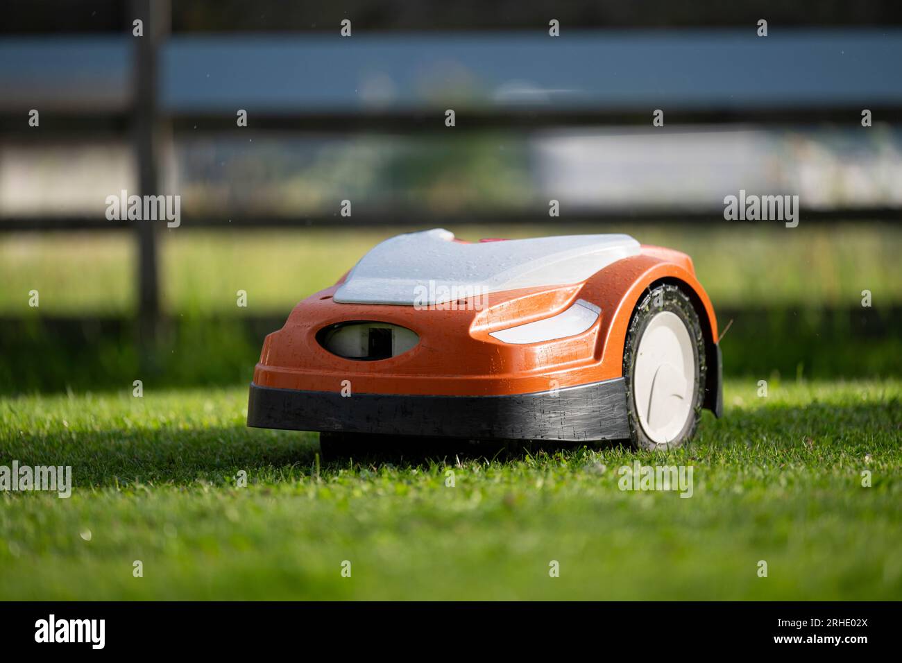 robotic lawn mower at work in a fenced yard with freshly cut green lush grass Stock Photo