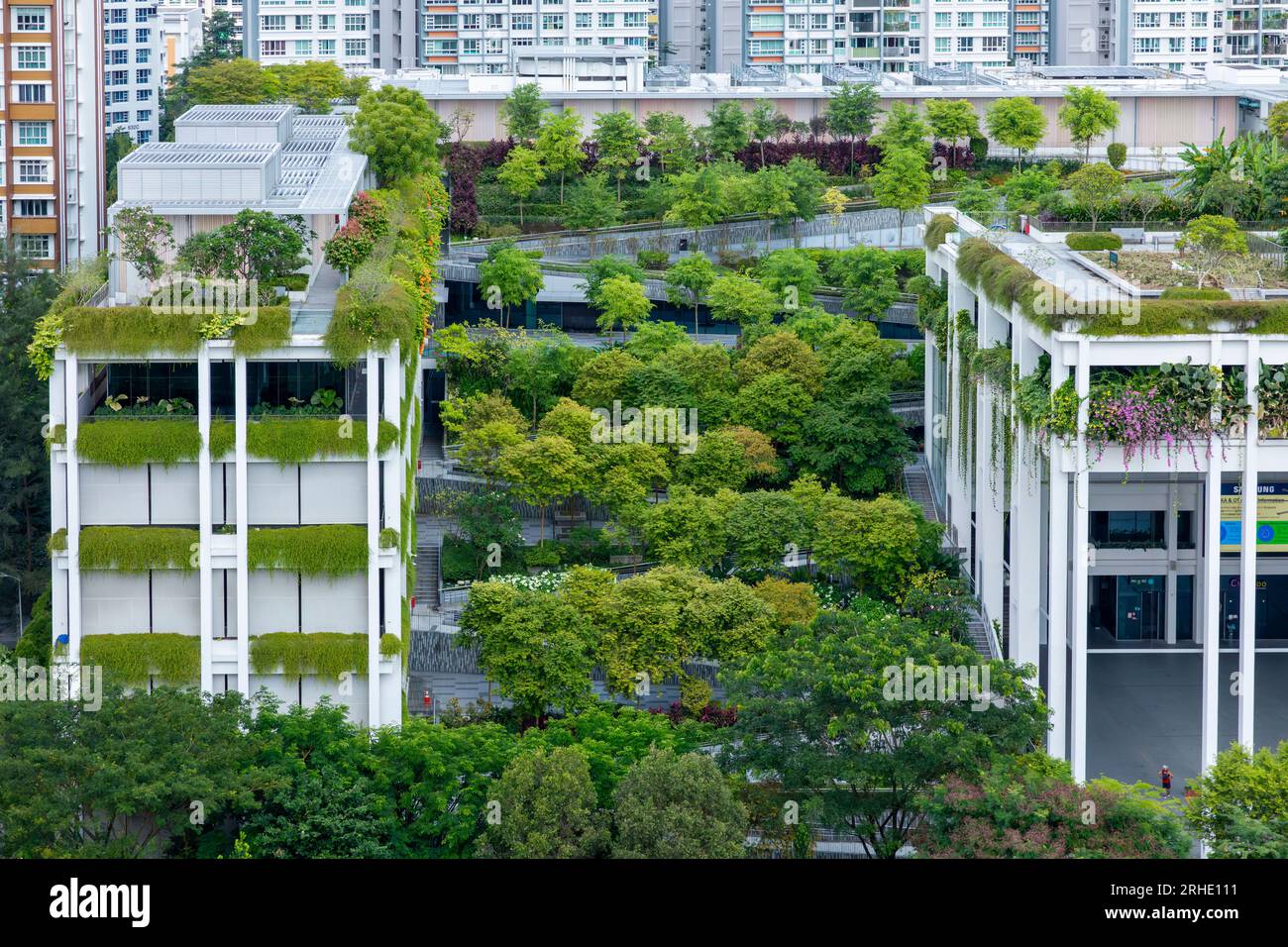 Oasis Terraces in Singapore, a green roof provides an urban nature-based solution to environmental challenges such as climate change. Stock Photo