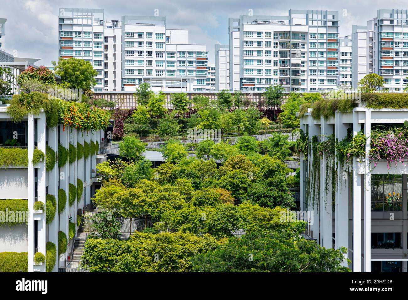 Oasis Terraces in Singapore, a green roof provides an urban nature ...