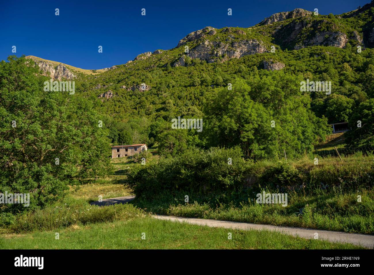 Rural environments of Sant Martí Surroca on a summer morning between the Serra Cavallera and the Serra de Sant Amand ranges in Ogassa, Girona, Spain Stock Photo